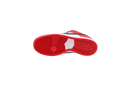 Nike SB Dunk Low Pro Chicago